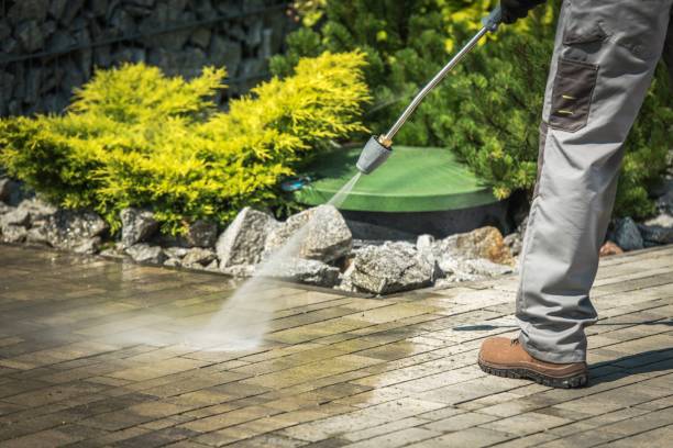 Best Dumpster Area Cleaning  in Anahuac, TX