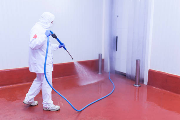 Best Graffiti Removal  in Anahuac, TX